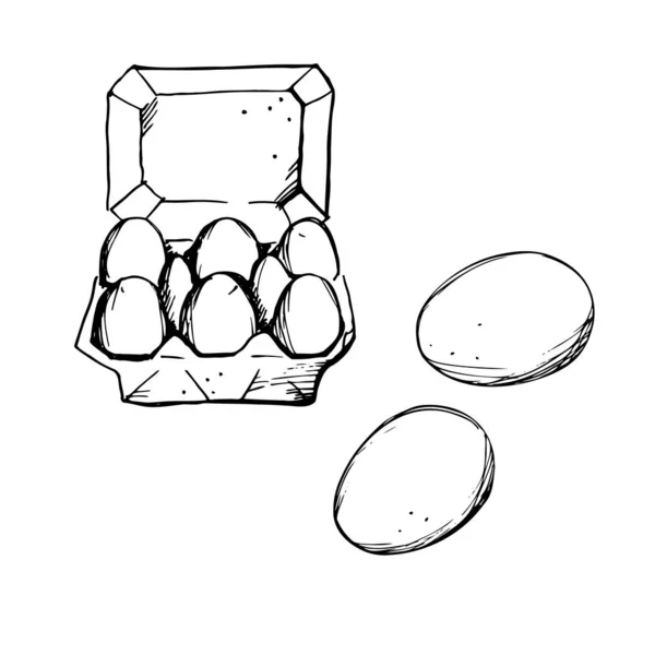 鸡蛋纸板箱中的鸡蛋的图解 煮沸的新鲜的 手拉手素描风格 有机农场的概念 家禽养殖 手绘矢量图解 分离元素 — 图库矢量图片