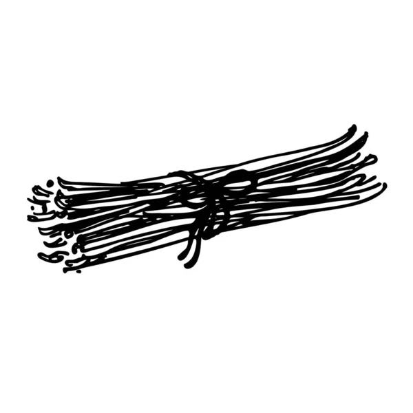 바닐라 바닐라 향으로 빵이야 꼬투리 이미지 향신료의 손그렸다 스케치 — 스톡 벡터