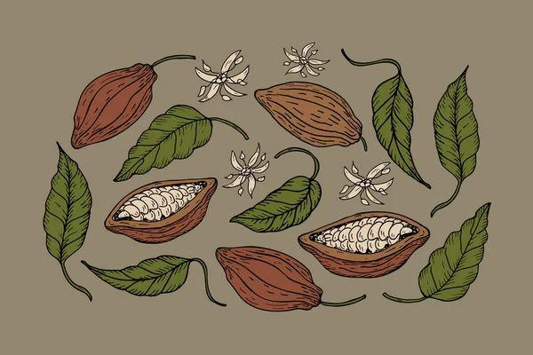 Cacao Modello Disegnato Mano Fagioli Cacao Foglie Albero Cacao Parti — Vettoriale Stock