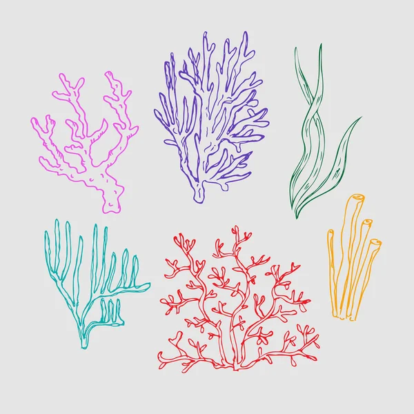 Коралловые Рисованные Иллюстрации Кораллов Водорослей Подводных Морских Океанских Растений Графический — стоковый вектор