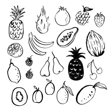 Meyve karalama vektör çizimi el çizimi. Muz, hindistan cevizi, mango, likör, armut, limon, kiraz, çilek, papaya, ejderha meyvesi, kivi, guava, çarkıfelek meyvesi ile hazırlanmış.. 