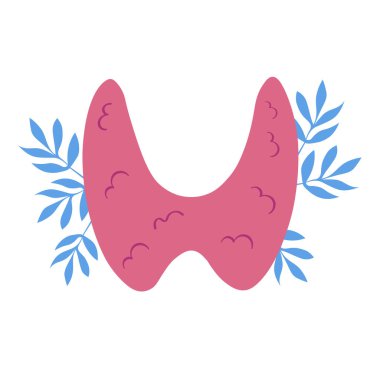 Tiroid bezi vektör çizimi, endokrinoloji. İnsan organları, çiçekli anatomi ikonu. Tiroid günü. Tıbbi konsept. Düz çizgi film. İzole edilmiş beyaz arkaplan