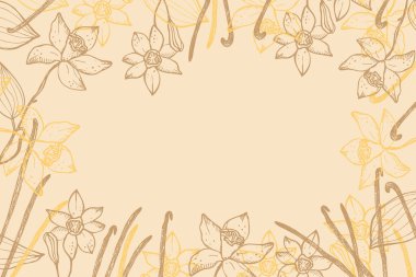 Metin için vanilya etiket şablonu arka planı. Çiçek ve vanilyalı bitki vektör çizimi, kapsüllü, mis kokulu baharatlar. Etiket, baharat ambalajı, logo, kart, bayrak için. El çizimi tasarım ögesi.