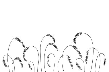 Buğday tarlası. Bir yığın buğday, kurutulmuş tam tahıl. Tahıl hasadı, tarım, organik tarım. Buğday kulaklarından elde çizilen arka plan. İzole edilmiş arkaplanda vektör illüstrasyonu