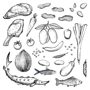 Paleo diyeti, izole edilmiş arka planda oyma vektör illüstrasyonu ile çizilmiş besin dengesini sağlamıştır. Farklı balık, et, sebze, meyve ve fındıklı yiyeceklerle dolu. Market, yaşam tarzı, menü