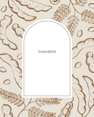 Metin el çizimi için Tamarind sınır arkaplanı oymalı tropikal bitki vektör çizimi. Egzotik tamarinds bezelyeleri kabuklu, fasulyeli, yapraklı. Yiyecek, aroma, ayurvedik bitkiler, odun