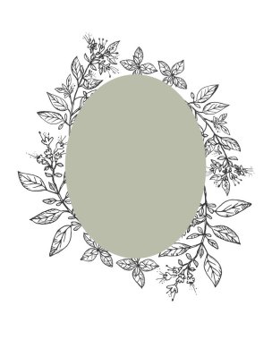 Oregano bitki çerçeve çerçeve çerçeve arkaplanı metin vektör illüstrasyonu için. Yemek, kozmetik, tıbbi ve aroma için yapraklı baharatlı otla çizilmiş. Etiket, baskı, şablon, logo için tasarım