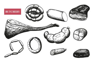 Sosisler elle çizilmiş. Kabartmalı vektör çizimi tütsülenmiş et ürünleri izole edilmiş arka plan. Klasik pastırma, sosis, jamon, basturma, salam eskizi. Lezzetli yemekler, lezzetli atıştırmalıklar, kasaplık ürünleri.
