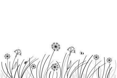 Yaban çiçekleri, çimenler, böcekler, el çizimi afişleri izole edilmiş beyaz arka plan vektör çizimleri. Çiçek desenli siyah çizgili siluet çiçek, çiçek, uğur böceği, arı 