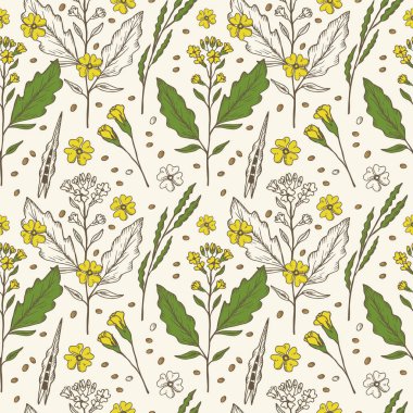 Hardal bitkisi çiçekli kusursuz desen. Tekstil, ambalaj, etiket, kart, baskı, kağıt, duvar kâğıdı için tekrar eden çiçek arkaplanı. Baharatlı yemek malzemesi. Vektör illüstrasyonu