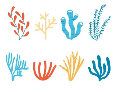 Farklı mercanlar, yosunlar ve deniz yosunu eliyle izole edilmiş arka plan, deniz motifi üzerine çizilmiş vektör çizimi. Derin deniz canlıları, okyanus bitkileri, fauna, yaz zamanı. Sualtı biyolojik çeşitliliği