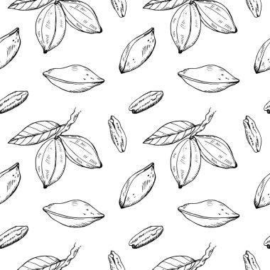 Fındıklı, kusursuz desen. Pekan cevizi, meyve, kabuklu fındık, kâğıt, kağıt, baskı, kart gibi arka plan tekrarı. El çizimi mürekkep vektörü çizimi. Yiyecek, organik malzeme, beslenme, hasat.