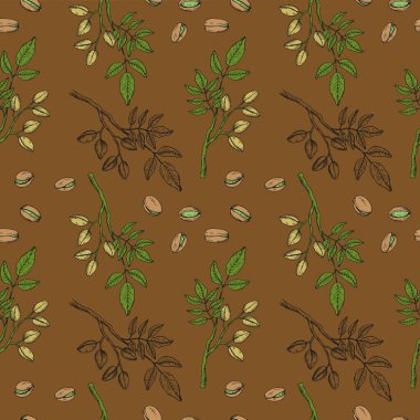 Çam fıstığı pürüzsüz desen. Elle çizilmiş arka planda fındıklar var. Vector boho illüstrasyonu. Organik gıda malzemesi, ceviz yağı. Etiket, kart, baskı, ambalaj, tekstil için tasarım