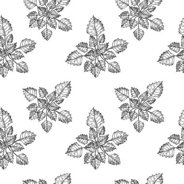 Chilim bitkileriyle el çizimi, dallı su kestanesi, tohumlar, meyveler. Trpa ntans ya da Hornwort bitkisi ile kabartmalı arka plan tekrarlanıyor. Vektör gıda çizimi, malzeme