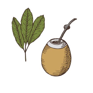 İzole edilmiş arkaplanda Yerba Mate ve Balkabağı Calabash oymalı illüstrasyon. Çay yapraklı eş dalının el resmi. Sıcak içecekli bir kap. Logo, etiket, kart için. Yiyecek, tıbbi tesis.