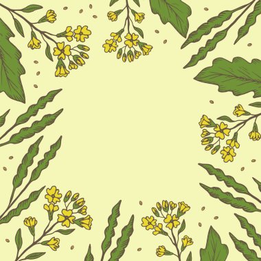 Hardal bitkileriyle vektör kartı ve metin için tohum. Hardal çiçekleri, dallar, tohumlar ve yapraklarla el oyması pankart. Yiyecek, yağ, organik besin. Kağıt, etiket için tasarım şablonu