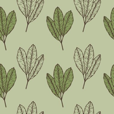 Oymalı Yerba Mate yaprakları olan kusursuz bir şablon. Yeşil arka planda çay yaprakları, bitki motifi. İçecek, yiyecek, tıbbi bitkiler. Baskı, tekstil, ambalaj, kart, kağıt tasarımı