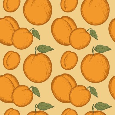 Kayısı oymalı meyveli vektör pürüzsüz desen. Elle çizilmiş arka plan sulu taze kayısı ile birlikte. Çöl, tatlılar, sağlıklı yiyecekler. Yazdırma, tekstil, etiket, şablon, logo, kart, kağıt