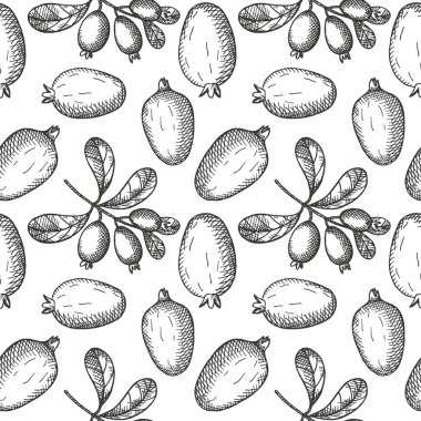 Fayjoa bitkilerinin oymalı kusursuz deseni. Dal ve yenilebilir tropikal böğürtlen meyveleri ile arka planda tekrarlanan el çizimi. Yemek, tatlı. Etiket, ambalaj, kart için tasarım ögesi