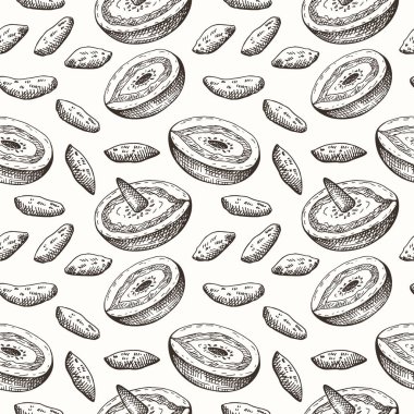 Vector seamless pattern with woody plant Dipteryx fragrans, fruits and seeds. Hand drawn repeating background with Mexican vanilla Tonka beans. Seasoning, incense, talisman, food ingredient clipart