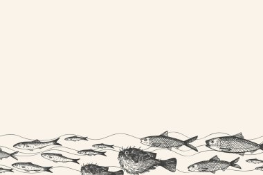 Yazılı Fugu balığı, ançüez, parmak, sazan, sardalya. Deniz hayvanlarıyla el çizimi sınır arkaplanı. Deniz ürünleri, lezzet, deniz yaşamı, hayvanlar. Etiket, menü, kart için