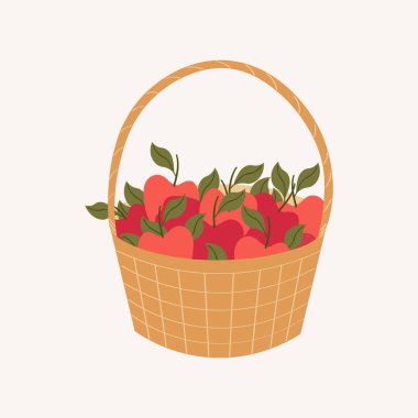 İzole edilmiş arka planda saman sepetinde Elma İllüstrasyonu. Elle çizilmiş kırmızı elma hasadı. Yazdırma, kağıt, imza, kart, etiket için tasarım ögesi. Yiyecek, mevsimler ve doğa