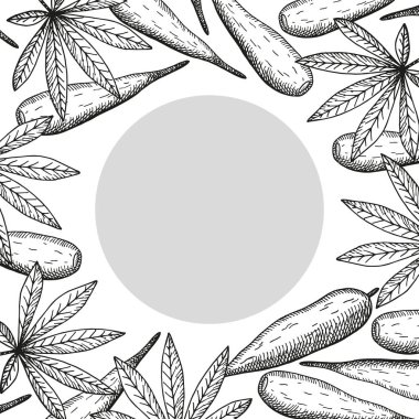 Yazılı olarak Cassava sebzeli Banner. Kabartmalı tüpler ve tropikal bitki Manihot esculenta yapraklarıyla el çizimi vektör etiketi. Paketleme, logo, kart, işaret, şablon, baskı için besin çizimi