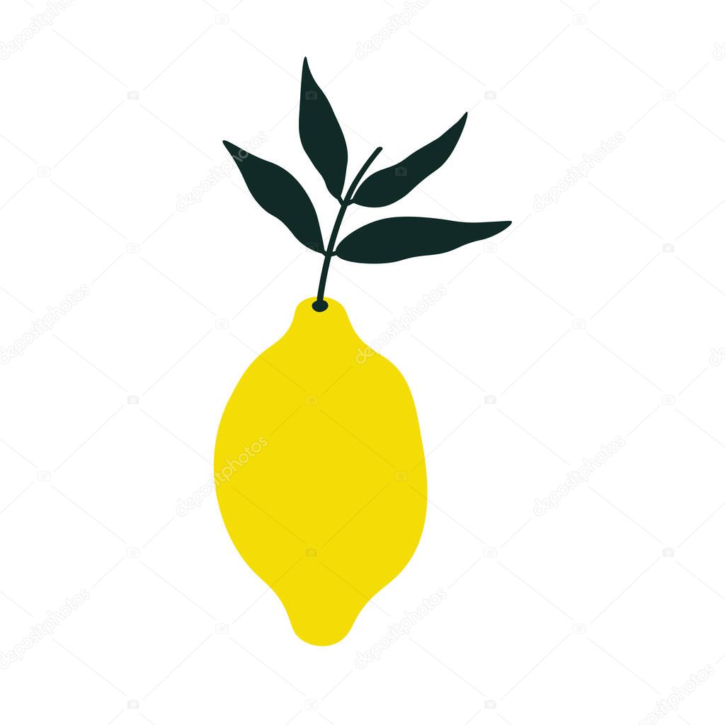 Lemon Citrus fruit on isolated background. Vector botanical illustration of yellow Lime plant with branch and leaves for logo, sign, card, print, paper, label. Design element for food, cosmetics