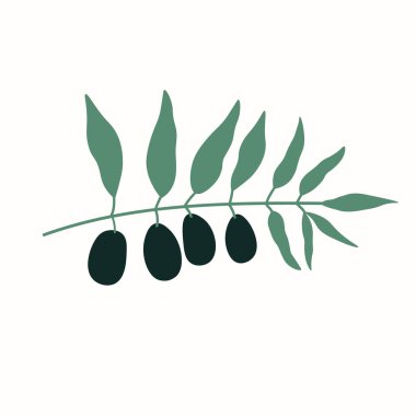 Yalıtılmış arka planda yassı minimalist tarzda zeytin dalı. İşaret, logo, şablon, etiket, şablon, kart için meyveli olivaceous ağacıyla vektör illüstrasyonu. Yiyecek, hasat, petrol.