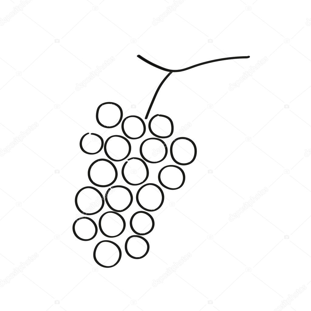 Sketch Grapes on isolated background. Hand drawn illustration with bunch of Grapevine berries in line art style. Food, dry raisins, healthy food, harvest fruit. For label, icon, card, logo, print