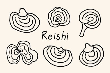 Polypore verniklenmiş (Lingzhi) Reishi mantarları ile izole edilmiş arka plan ile ayarlanır. Alternatif tıp, çay, kozmetik ve spa için tıbbi odunsu Çin doğal malzemesi. Logo için tasarım, imza