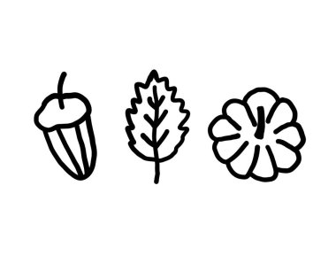 Sonbahar bitkilerinin, meşe palamudunun, yaprağın, balkabağının simgesi. İzole edilmiş arkaplanda çizim tarzında mürekkep çizimi yapın. Şükran Günü için tasarım ögesi, sonbahar sezonu, olay, kart, işaret, logo.