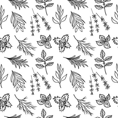 Biberiye, adaçayı, nane, körfez, maydanoz, safran, dereotu, kekik, fesleğen. Tekstil ve ambalaj için çiçek arkaplanı tekrarlanıyor. Yiyecek, tıbbi bitkiler, yemek pişirme. Vektör illüstrasyonu