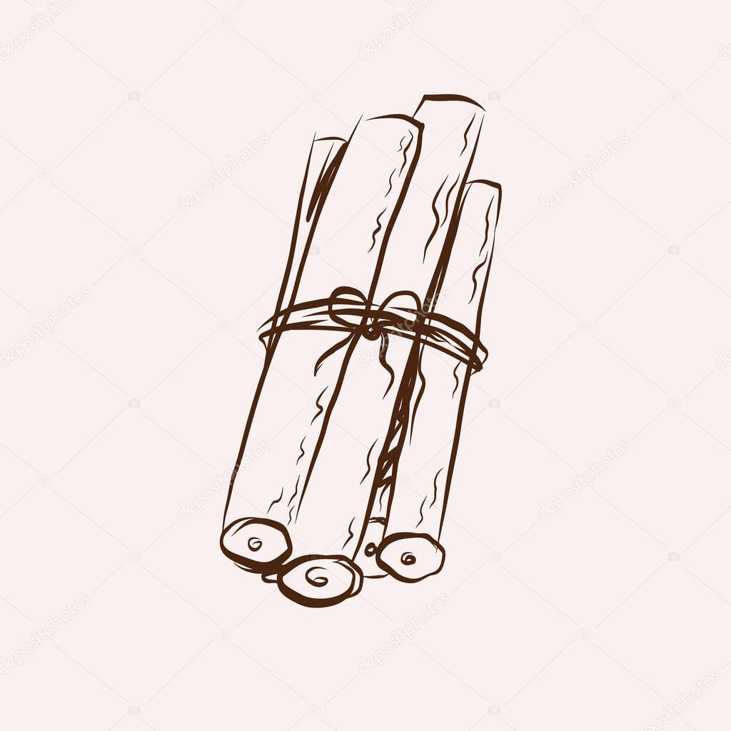 Licorice root in bunch sketch on isolated background. Vector illustration of herbaceous plant, dry roots. Hand drawn botanical medical aromatic sticks and branch Glycyrrhiza echinata. Design element