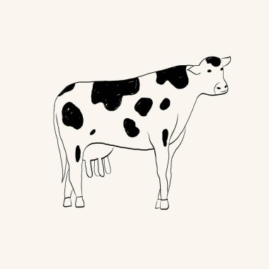 İnek eli çizimi. İzole edilmiş arkaplanda vektör illüstrasyonu. Sevimli evcil hayvan. Memeli Kine. Yiyecek, süt, sığır eti, çiftlik, çayır. Etiket, kart, baskı, kağıt, imza, logo için tasarım ögesi