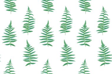 Kusursuz, sade eğrelti otu deseni. Vektör el, soyut, sanatsal, siluet organik yaprak izi. Tasarım, kumaş, iç dekorasyon, tekstil, moda, duvar kağıdı şablonu