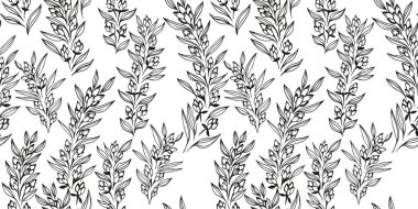 Şekillendirilmiş, soyut, çiçek tomurcukları olan basit dallar ve pürüzsüz desenler. Siyah-beyaz, sanatsal, nazikçe çiçekli arka plan. Vektör el çizimleri, çizimler. Tasarım için şablon, yazdırma
