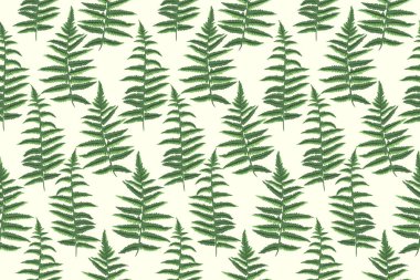 Soyut şekilli kusursuz desenler eğreltiotu yaprakları. Stilize edilmiş yeşil bahçe yaprağı açık arkaplanda desenli. Vektör el çizimi. Tasarımlar için kolaj, yazdırma