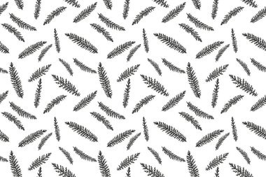 Siyah beyaz dallar köknar desensiz bırakır. Vektör el çizimi. Minimalist soyut basit düz botanik desenli. Tasarım, kumaş, baskı kolajı