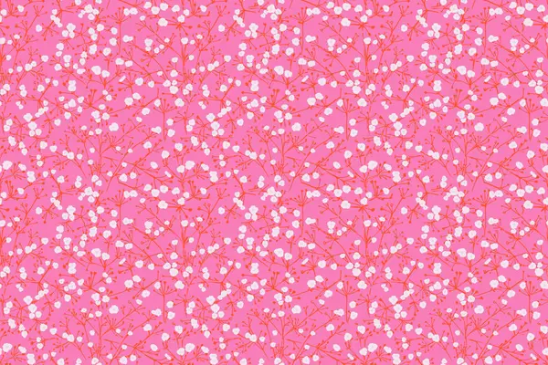 İnce, çiçekli küçük beyaz çiçekleri içeren renksiz desenler parlak pembe bir arka planda yer alır. İzler, kumaşlar, duvar kağıtları, hediye paketi, kırtasiye ve tasarımlar için süsleme.