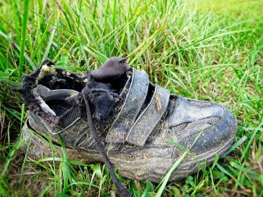 Çimenlerde çekirgeyle eski kirli tenis ayakkabısı.