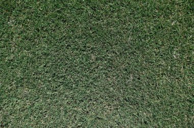 Atletizm sahasında çimen dokusu