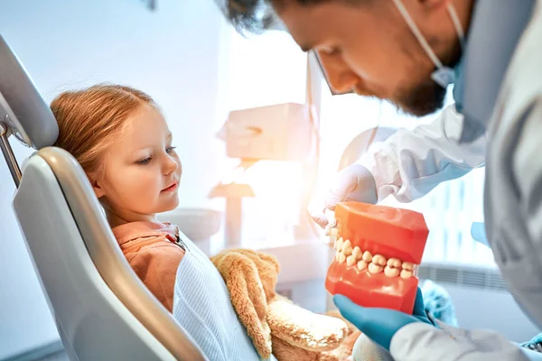 Dentysta Pokazuje Małej Dziewczynce Jak Prawidłowo Myć Zęby Dentysta Trzyma — Zdjęcie stockowe