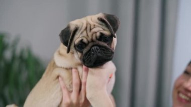 Metresinin elinde sevimli bir köpek yavrusu. Genç bir kadın köpeğini kollarında tutuyor..