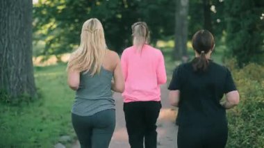 Three women running in the park in the morning. Rear view.