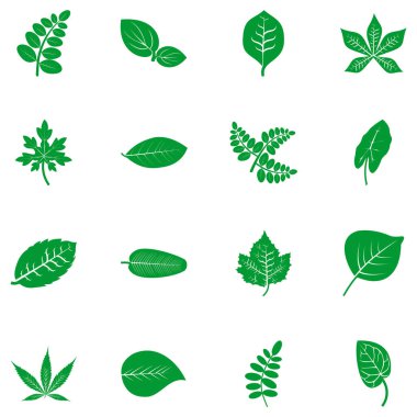 Yaprak simgesi vektör sembolü izole edilmiş beyaz arkaplan