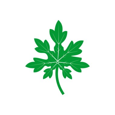 Yaprak simgesi vektör sembolü izole edilmiş beyaz arkaplan