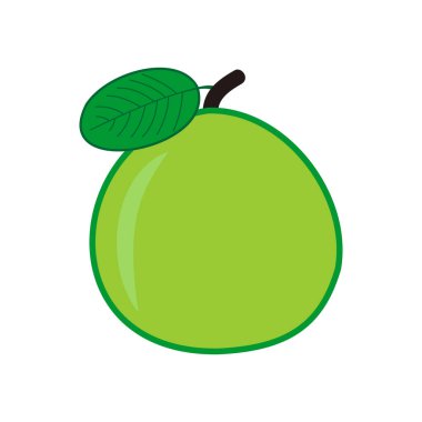 guava fruit icon vector symbol isolated illustrations white background