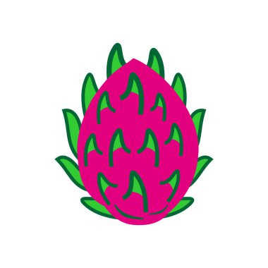 dragon fruit icon vector symbol isolated illustrations white background