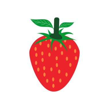 strawberry fruit icon vector symbol isolated illustrations white background